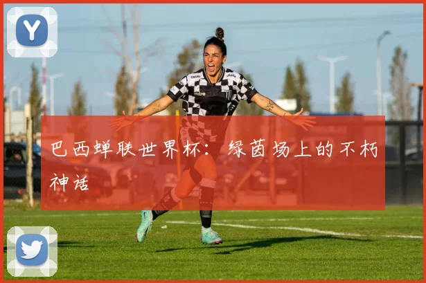 巴西蝉联世界杯：绿茵场上的不朽神话