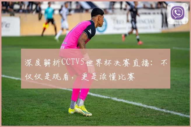 深度解析CCTV5世界杯决赛直播：不仅仅是观看，更是读懂比赛