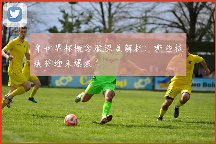 年世界杯概念股深度解析：哪些板块将迎来爆发？