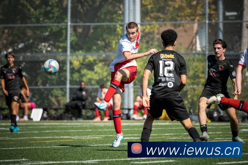 星空体育官方网站入口发展历程